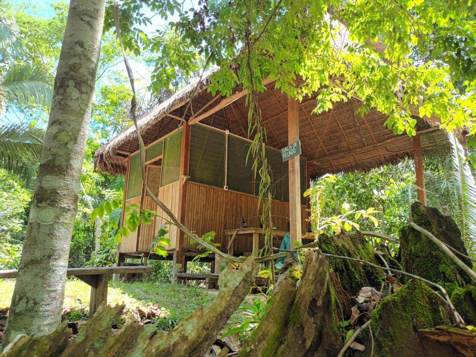 A Pousada Castana Amazon Park Puerto Maldonado Exterior foto