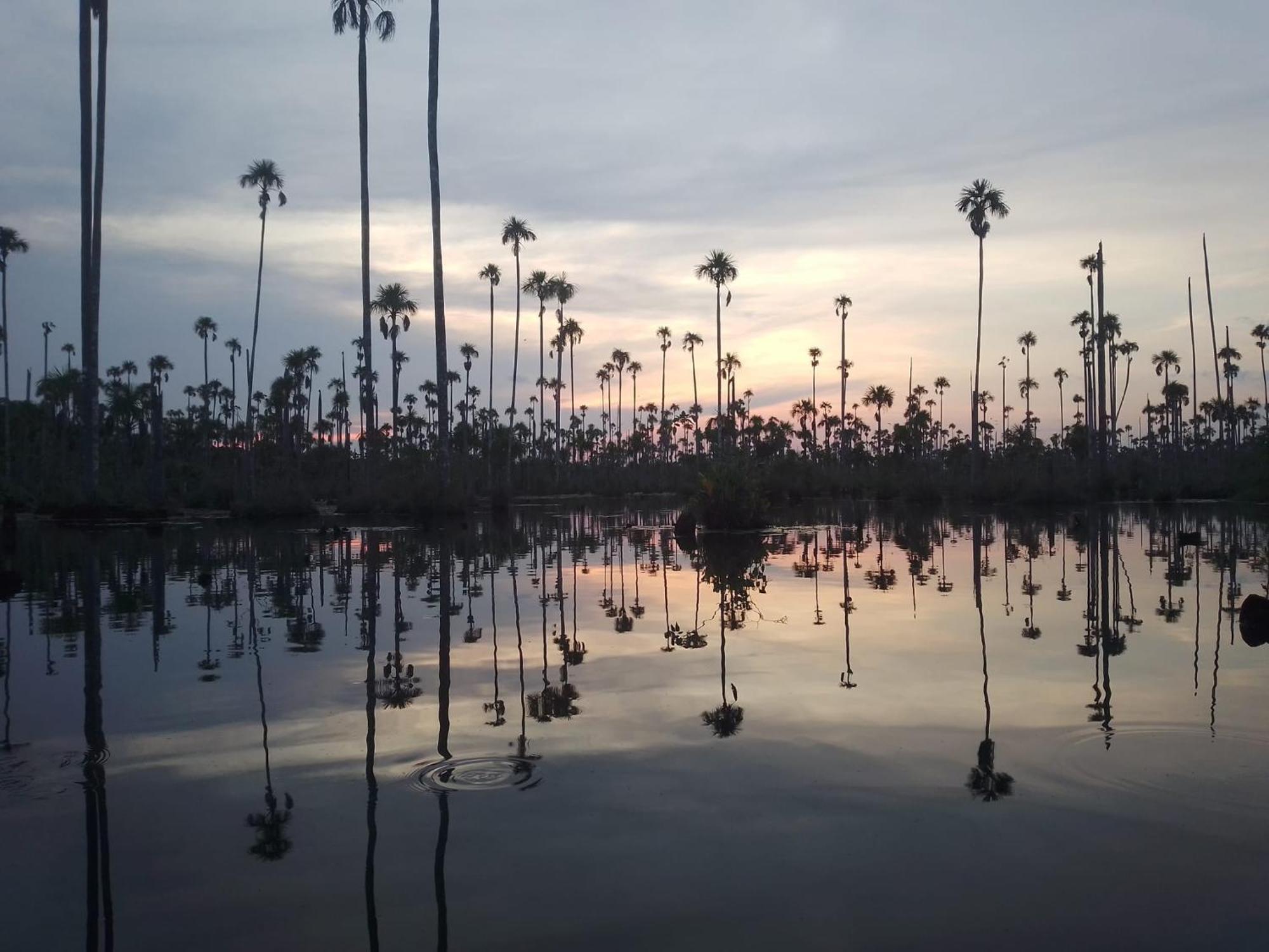 A Pousada Castana Amazon Park Puerto Maldonado Exterior foto