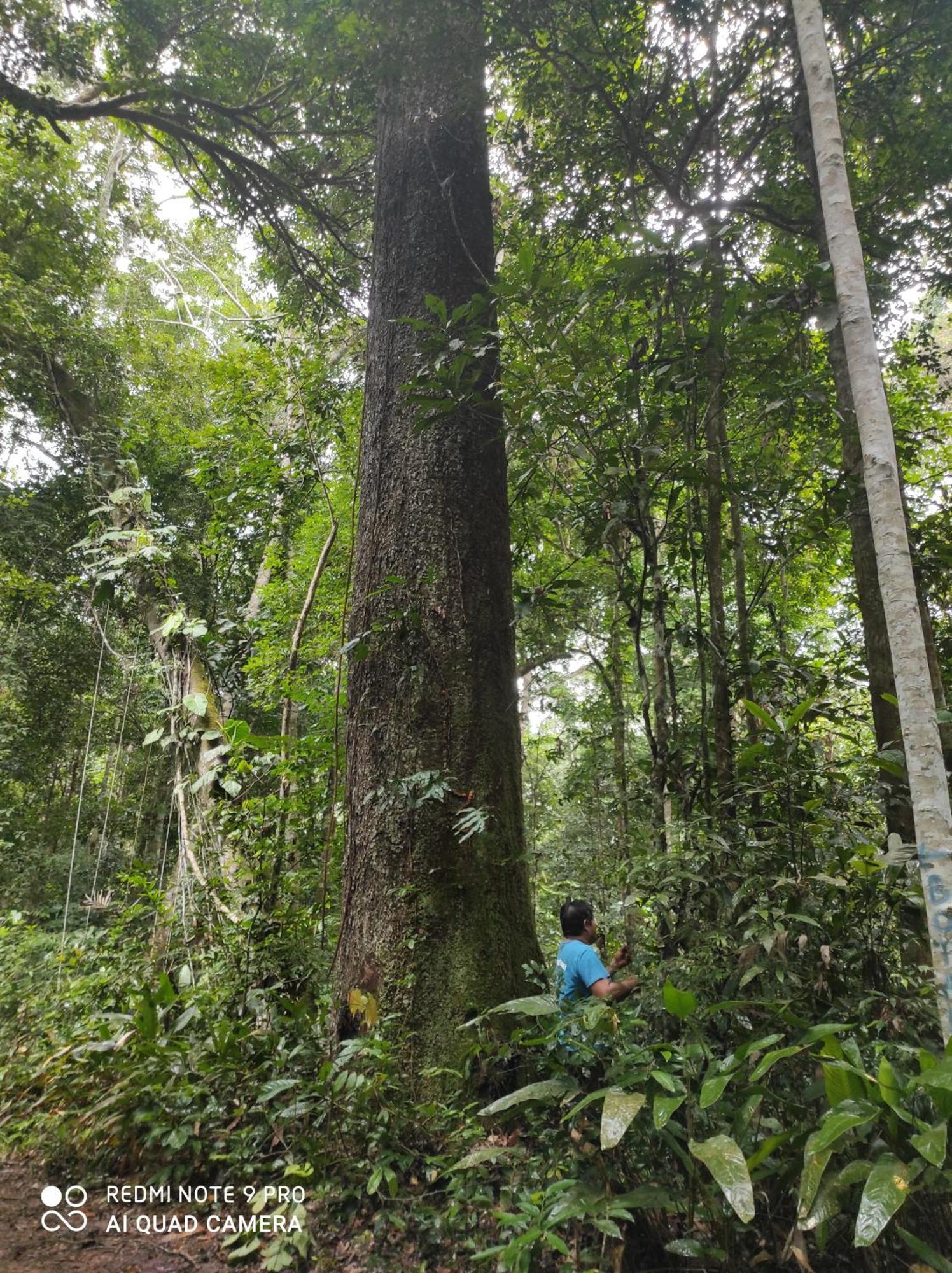 A Pousada Castana Amazon Park Puerto Maldonado Exterior foto
